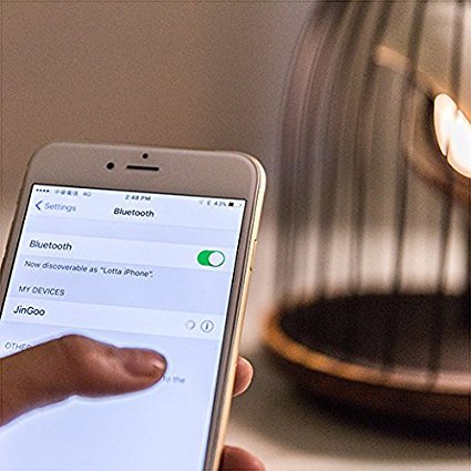 Amazon.co.jp: DAQICONCEPT LED照明＆ワイヤレススピーカー「JinGoo